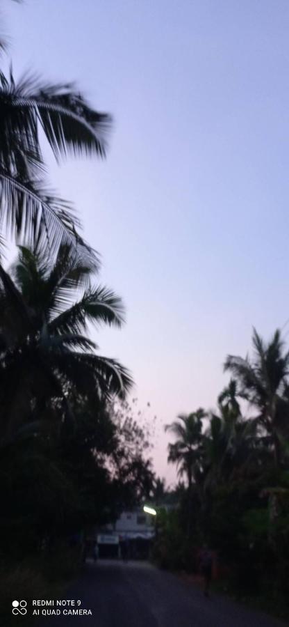 Narayanalayam-Vintage Retreat-Homestay & Rest'Inn كانور المظهر الخارجي الصورة