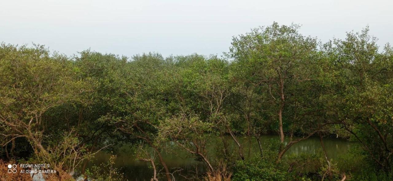 Narayanalayam-Vintage Retreat-Homestay & Rest'Inn كانور المظهر الخارجي الصورة