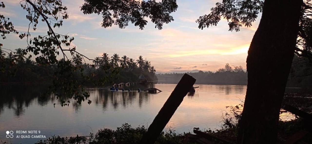 Narayanalayam-Vintage Retreat-Homestay & Rest'Inn كانور المظهر الخارجي الصورة